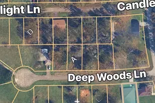 Tbd Deep Woods Ln Ln, Livingston, TX 77351 - Photo 1
