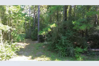 Tbd Cr 4740, Kennard, TX 75847 - Photo 25