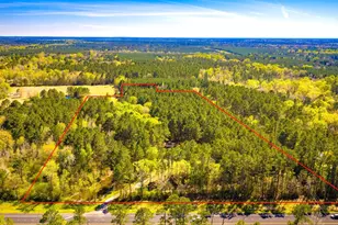 8256 US Hwy 190 E, Livingston, TX 77351 - Photo 3