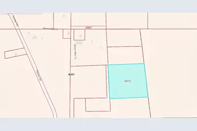 0 Bones Way Ln, Shepherd, TX 77371 - Photo 3