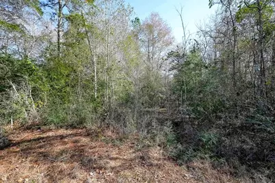 378 County Road 381, Cleveland, TX 77328 - Photo 13