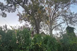 851 Jaquet Dr, Bellaire, TX 77401 - Photo 17