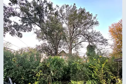 851 Jaquet Drive, Bellaire, TX 77401 - Photo 33