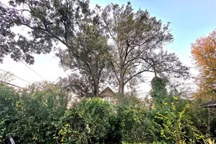 851 Jaquet Dr, Bellaire, TX 77401 - Photo 33