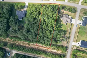 27542 Rio Blanco Dr, Splendora, TX 77372 - Photo 19