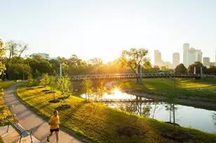 517 Fowler St, Houston, TX 77007 - Photo 43