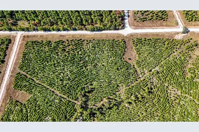 625 Trinity Trail, Lovelady, TX 75851 - Photo 3