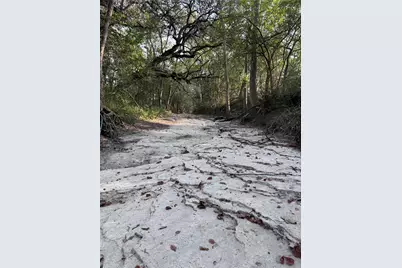 3391 Ruether Road, La Grange, TX 78945 - Photo 5