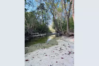 3391 Ruether Road, La Grange, TX 78945 - Photo 17