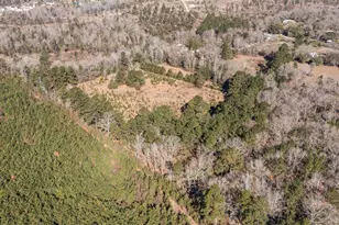 588 Linville Grimes Rd, Diboll, TX 75941 - Photo 25