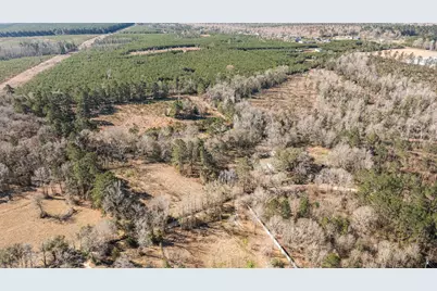 588 Linville Grimes Road, Diboll, TX 75941 - Photo 27