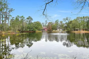 25403 Glen Loch Dr, Spring, TX 77380 - Photo 25