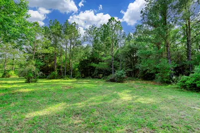 7198 Cr 208, Navasota, TX 77868 - Photo 5