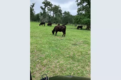 22349 Fm 359 Road, Hempstead, TX 77445 - Photo 13