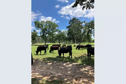 22349 Fm 359 Road, Hempstead, TX 77445 - Photo 15