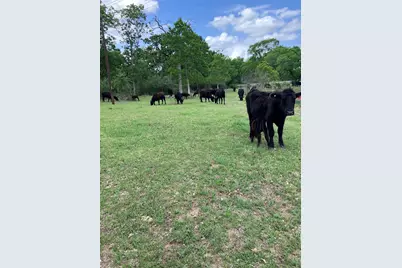22349 Fm 359 Road, Hempstead, TX 77445 - Photo 11
