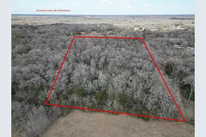 1649 Stone Street, Bedias, TX 77831 - Photo 9