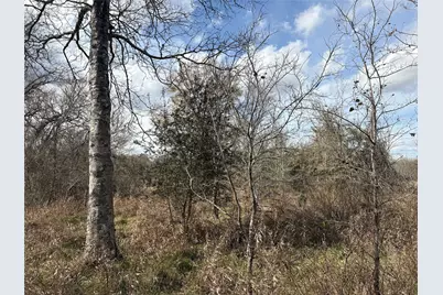 1649 Stone Street, Bedias, TX 77831 - Photo 23
