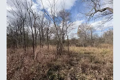 1649 Stone Street, Bedias, TX 77831 - Photo 43