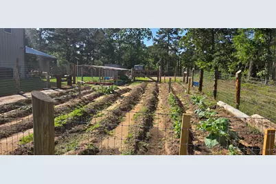 646 County Road 2100 N, Crockett, TX 75835 - Photo 45