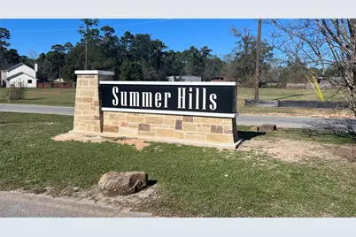 Lot 176 Indigo Way, Porter, TX 77365 - Photo 3