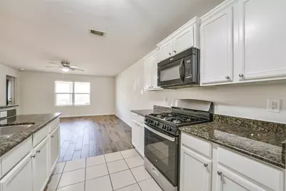 9919 Opal Rock Drive, Rosharon, TX 77583 - Photo 13