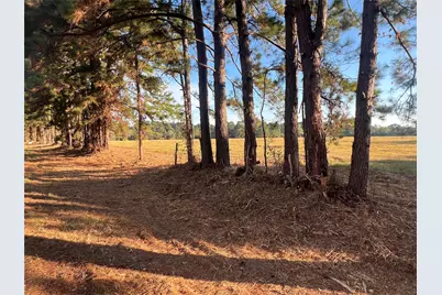 00 Hardy Bottom Road, Huntsville, TX 77340 - Photo 5