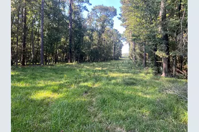 00 Hardy Bottom Road, Huntsville, TX 77340 - Photo 3