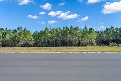 12007 High Branch Way, Willis, TX 77378 - Photo 5