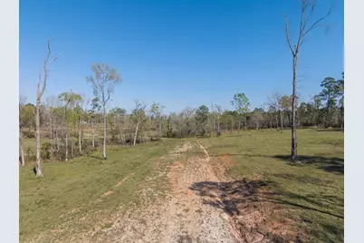 Lot 12 Fm 350 N, Livingston, TX 77351 - Photo 3