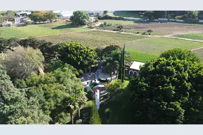 042 Camino Al Capricho 1B, Las Nieves Road, Almont, CO 74210 - Photo 13