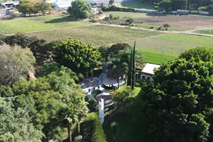 042 Camino Al Capricho 1B Las Nieves Rd, Almont, CO 74210 - Photo 13