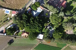 042 Camino Al Capricho 1B Las Nieves Rd, Almont, CO 74210 - Photo 3