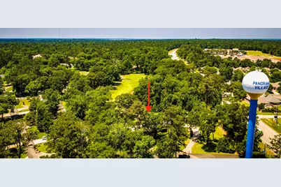 146 Billandrea Lane, Panorama Village, TX 77304 - Photo 49