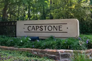 3 Bough Leaf Pl, The Woodlands, TX 77381 - Photo 35