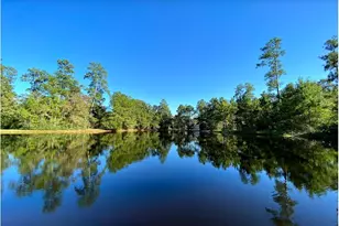 3 Bough Leaf Pl, The Woodlands, TX 77381 - Photo 37