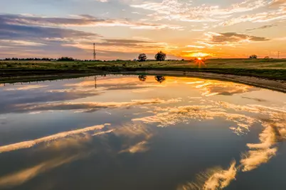 Tbd Sunny Hills Lot 31 Drive, Chappell Hill, TX 77426 - Photo 29