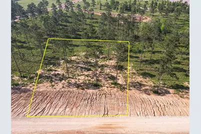 0 Tranquility Road, Livingston, TX 77351 - Photo 11