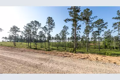 0 Tranquility Road, Livingston, TX 77351 - Photo 5