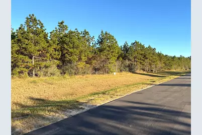 15762 Grey Hawk Lane, Willis, TX 77378 - Photo 3