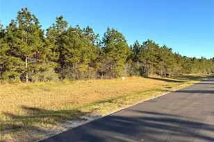 15762 Grey Hawk Ln, Willis, TX 77378 - Photo 3