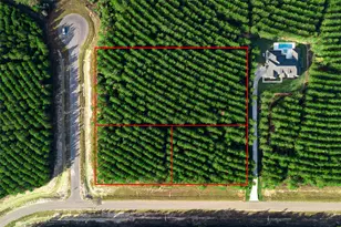 16320 Ridge Oak Rd, Willis, TX 77378 - Photo 9