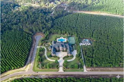 16320 Ridge Oak Road, Willis, TX 77378 - Photo 3