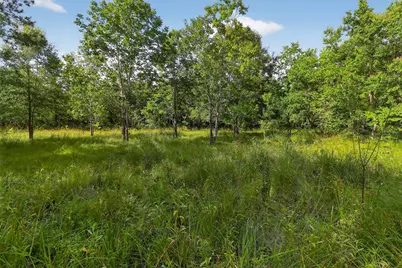 7449 Hwy 61 Highway, Hankamer, TX 77560 - Photo 9