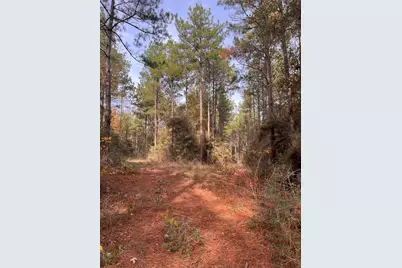 1432 Fm 1745 S, Chester, TX 75936 - Photo 9