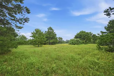 8651 Pr 1230, Centerville, TX 75833 - Photo 5