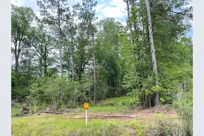 06 Fm 2937/Old Arco Rd, Silsbee, TX 77656 - Photo 7