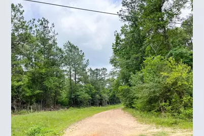 06 Fm 2937/Old Arco Rd, Silsbee, TX 77656 - Photo 5