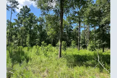 641 Rolling Pines Drive, Livingston, TX 77351 - Photo 1