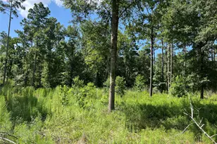 641 Rolling Pnes Dr, Livingston, TX 77351 - Photo 1
